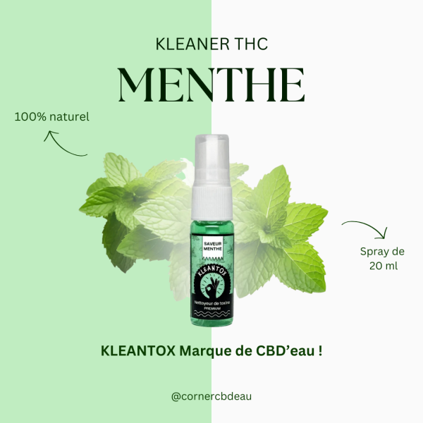 Spray KLEANER KLEANTOX Menthe 20ml