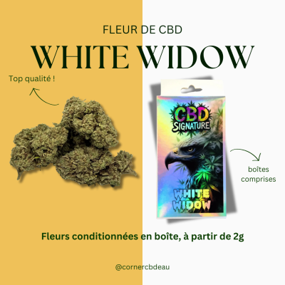 CBD Signature White Widow -...