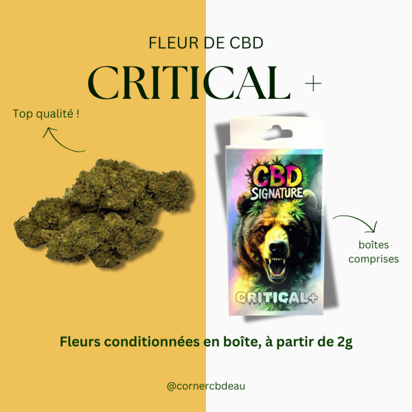 Fleur CBD Critical + Greenhouse Premium