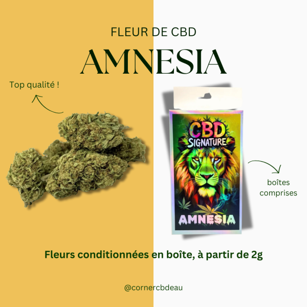CBD Signature Amnesia - Fleur Premium Indoor