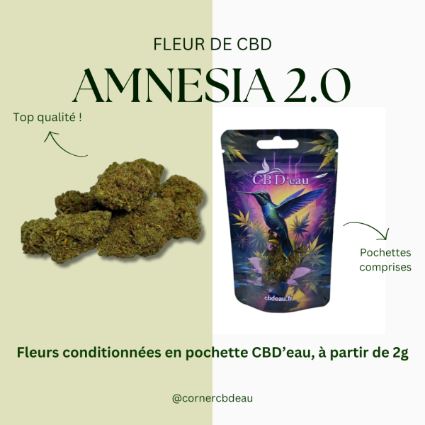 Amnesia 2.0 Greenhouse CBD CBD'eau