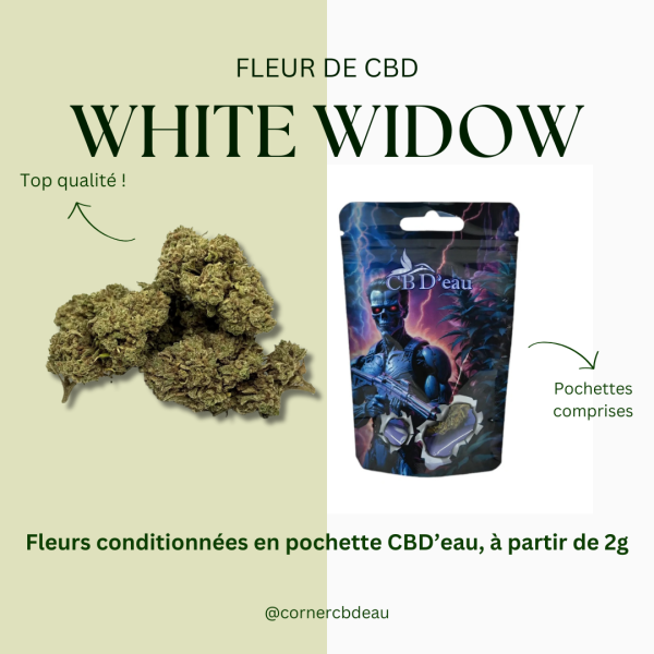 Fleur CBD White Widow Greenhouse CBD'eau