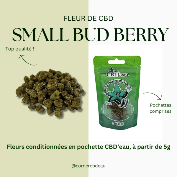 Small Bud Berries CBD Premium CBD'eau